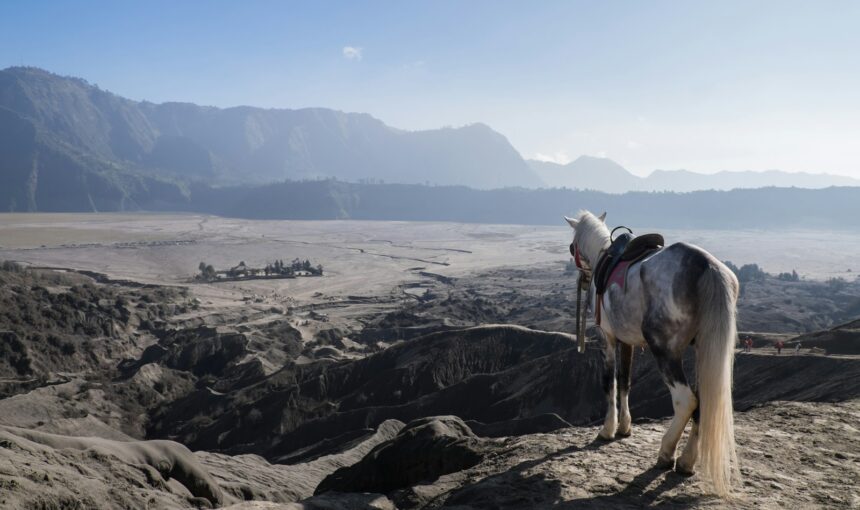 Mount bromo ijen crater tour package update price this year