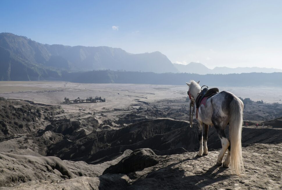 mount bromo ijen crater tour package update price this year