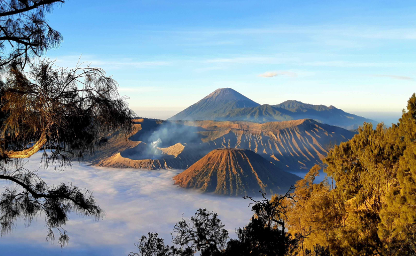 Best Mount Bromo Tour This Year