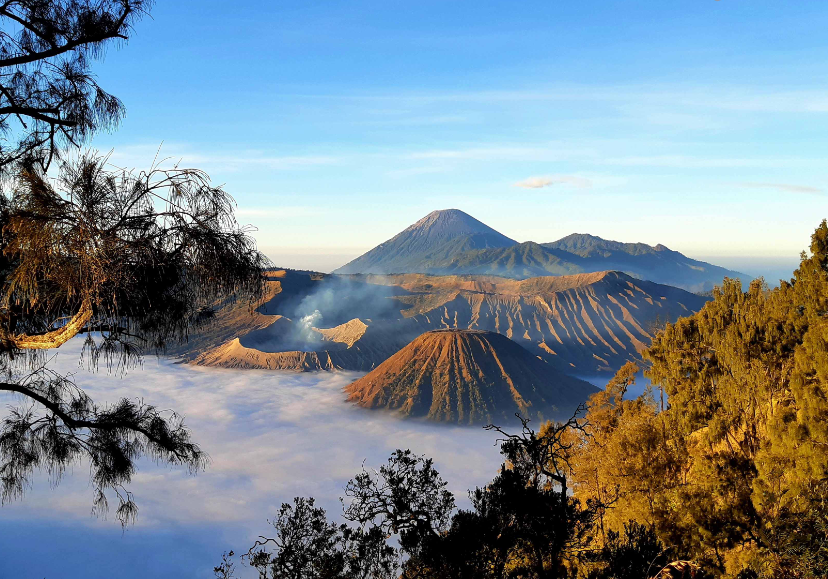 Best Mount Bromo Tour