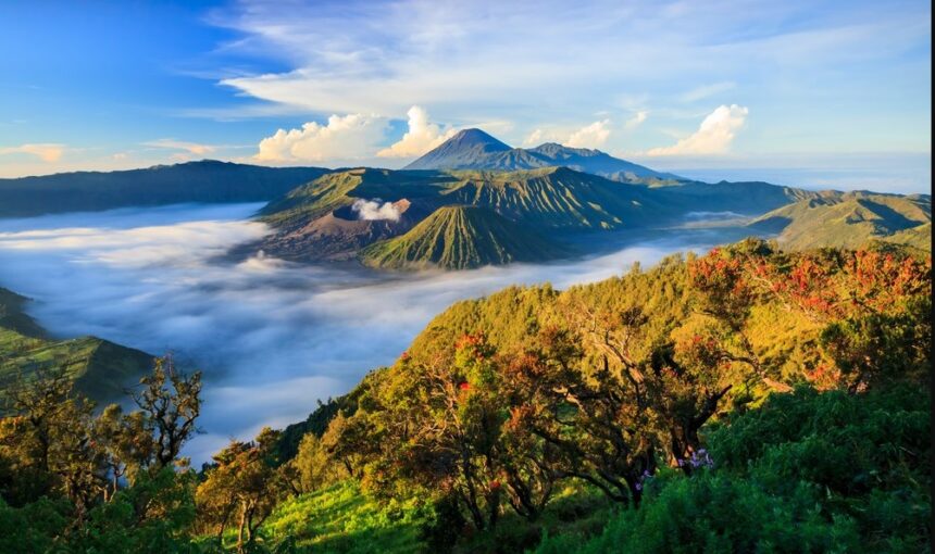 Tour To Bromo Ijen Blue Flame