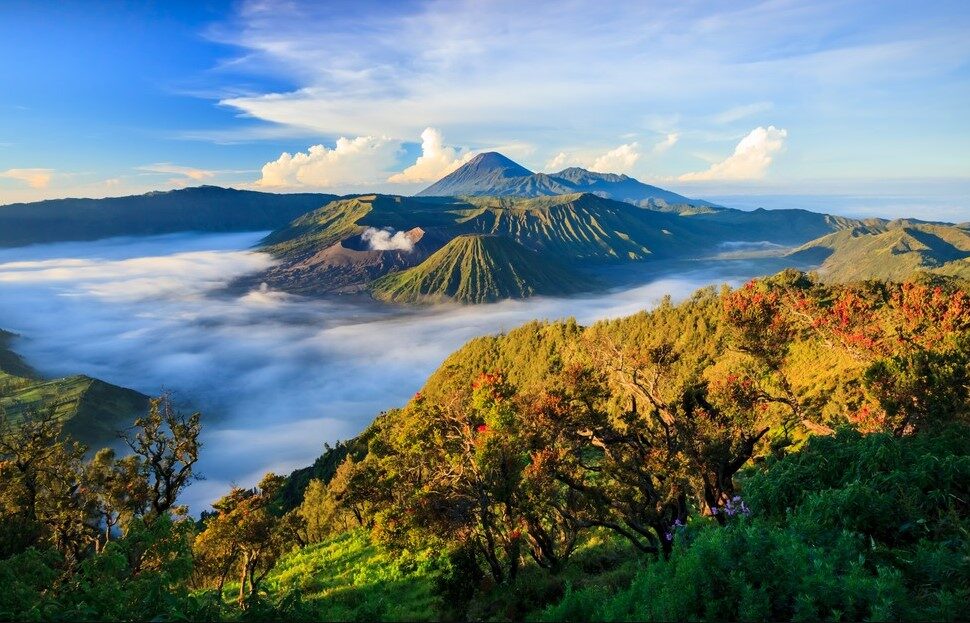 Tour to mount Bromo ijen blue flame