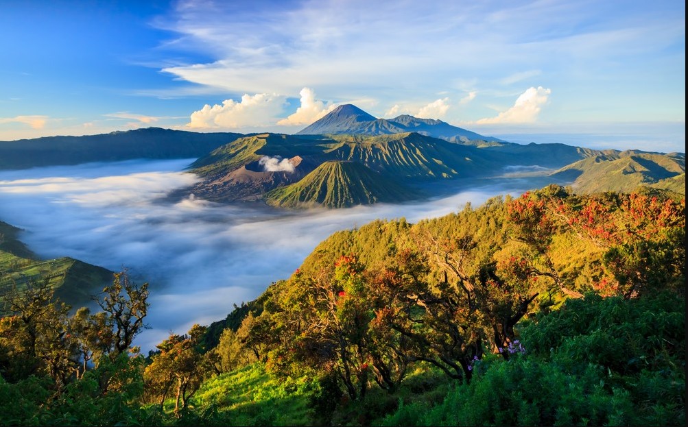 Tour to mount Bromo ijen blue flame