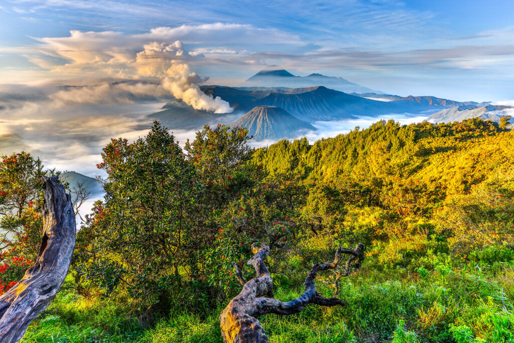 Mount Bromo Sunrise