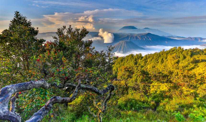 Mount Bromo Sunrise Point Favorite Spot