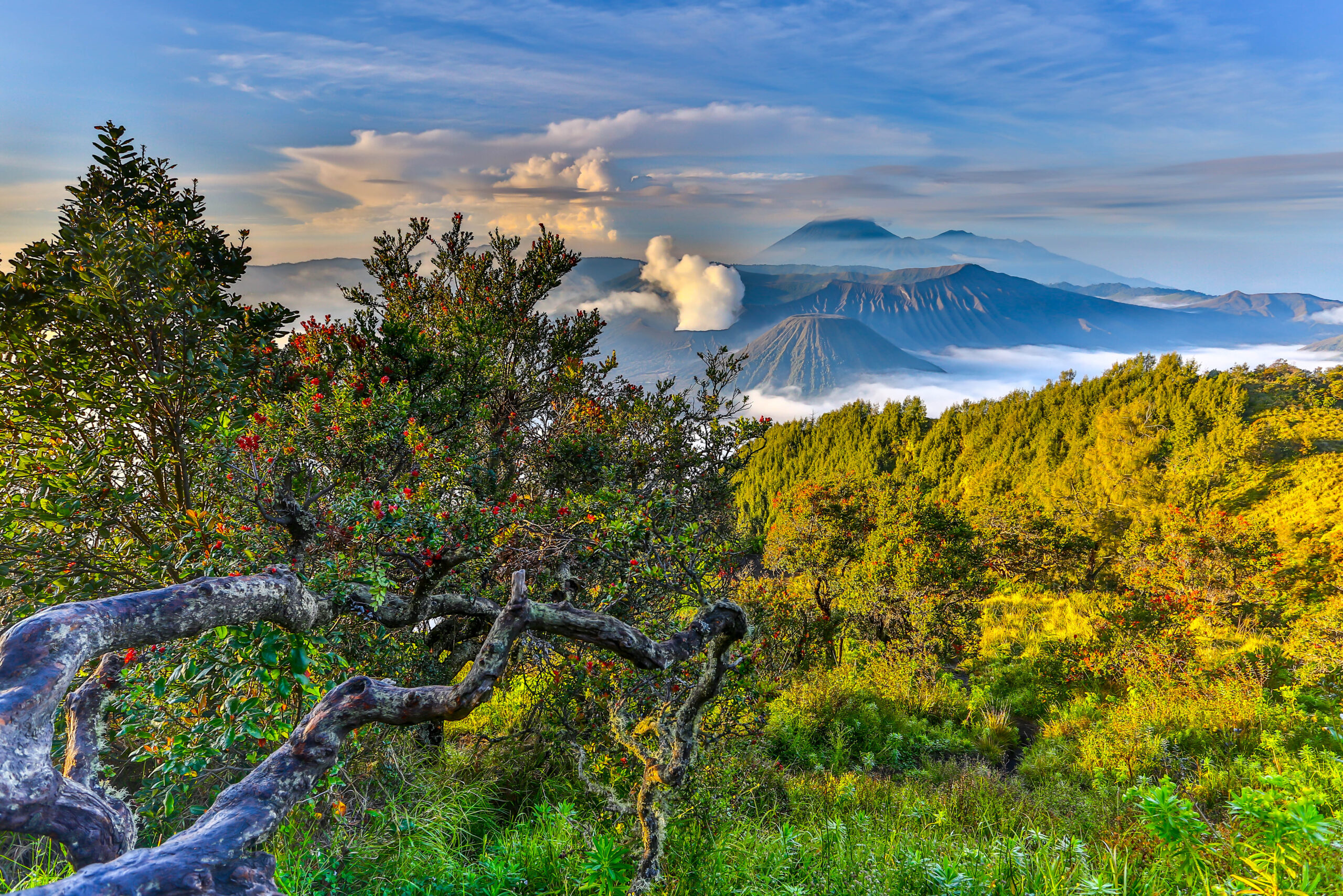 Mount bromo sunrise point favorite spot