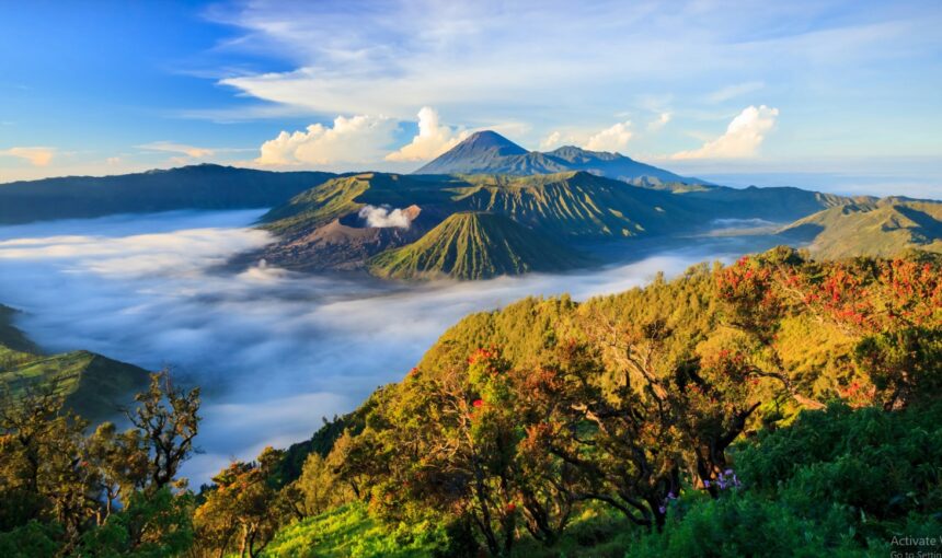 Bromo Tour Package: 2 Days 1 Night